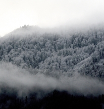 Winter mountain forest Switzerland Siebnen  OC