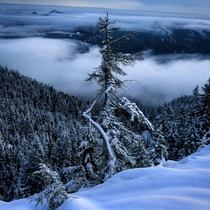 Winter wonderland in Mount Seymour Provincial Park Canada   IG hikingintothewild