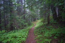 Wonderland Trail Mt Rainier WA USA 