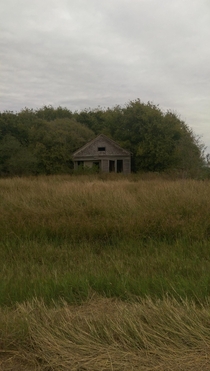 Woods overtaking an old house in Victoria Texas 