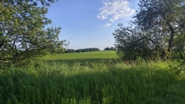 x-post rearthporn Farm fields on a summer day in Ontario 