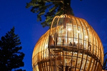 Yellow Treehouse Restaurant  Pacific Environments 