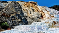 Yellowstone - Vibrant Colors of the geologic features at Mammoth Hot Springs 