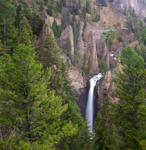 Yellowstone Waterfall 