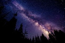 Yosemites Night Sky 
