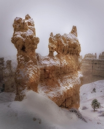 You get Rock Music Cinnamon and Whipcream in Bryce Canyon National Park Utah  