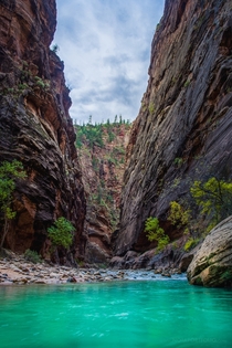 Zion National Park - Narrows 