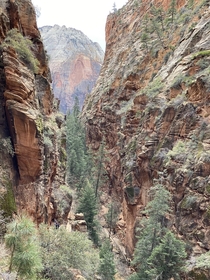 Zion National Park Not a professional at all but this place is gorgeous  x