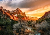 Zions light Sunset at The watchman Zion National Park OC  IG johnperhach_photo_